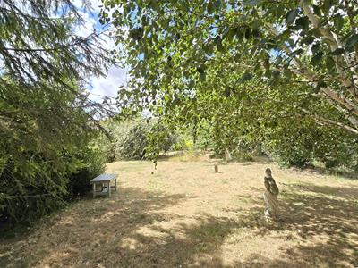 Picture 31